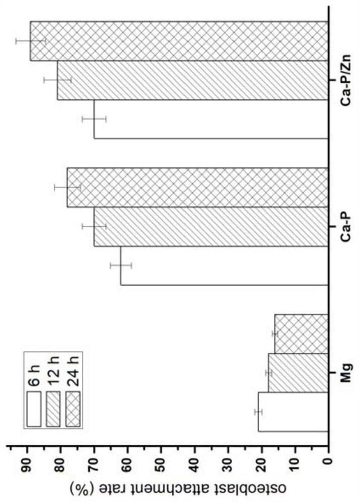 Magnesium alloy material with ca-p coating on surface carrying metal ions and its preparation method and application