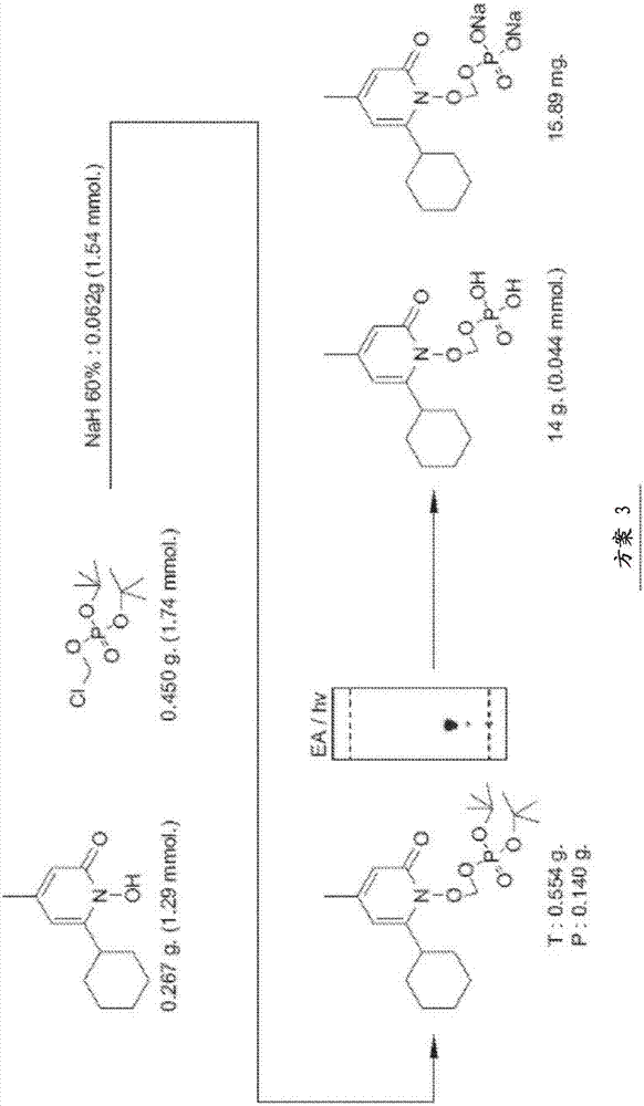 Methods of bladder cancer treatment with ciclopirox, ciclopirox olamine, or a ciclopirox prodrug