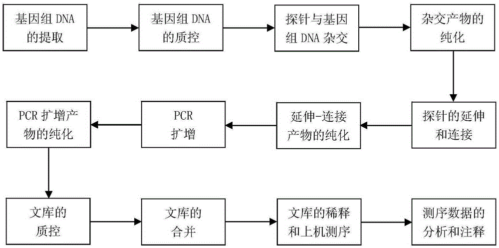 Genetic novel mutations related with phenotype of neonatal low muscular tension and detection kit