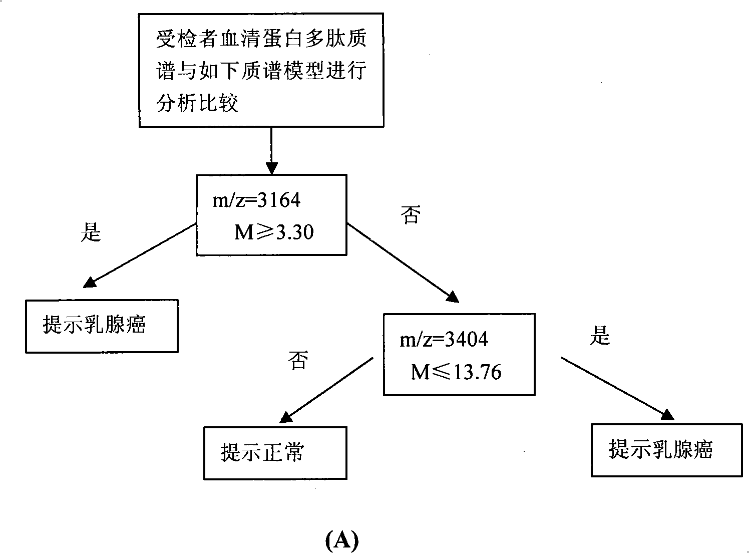 Optimizing mass spectrogram model for detecting breast cancer characteristic protein and preparation method and application thereof