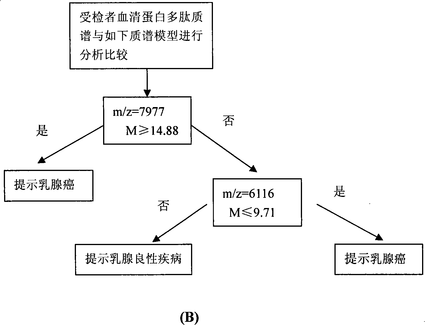 Optimizing mass spectrogram model for detecting breast cancer characteristic protein and preparation method and application thereof