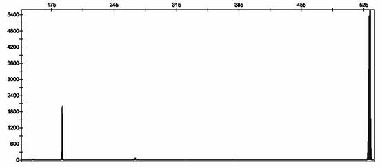 Primers, probe and method for detecting various respiratory viruses