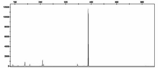 Primers, probe and method for detecting various respiratory viruses