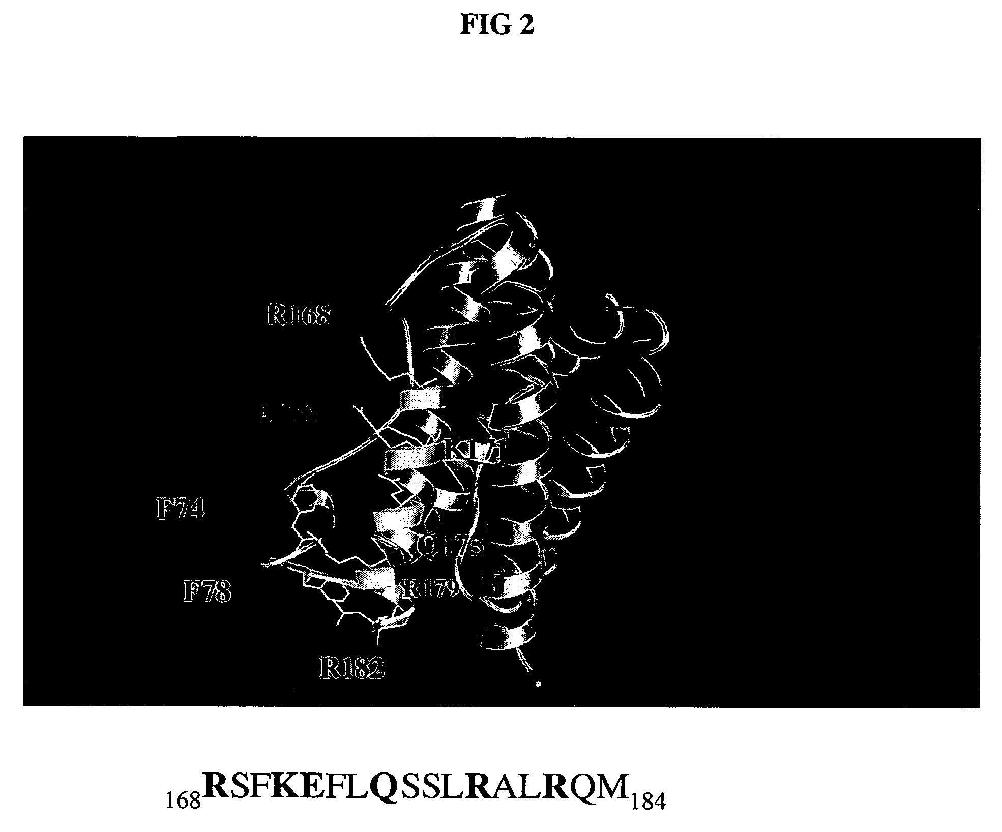 Anti-il-6 antibodies, compositions, methods and uses