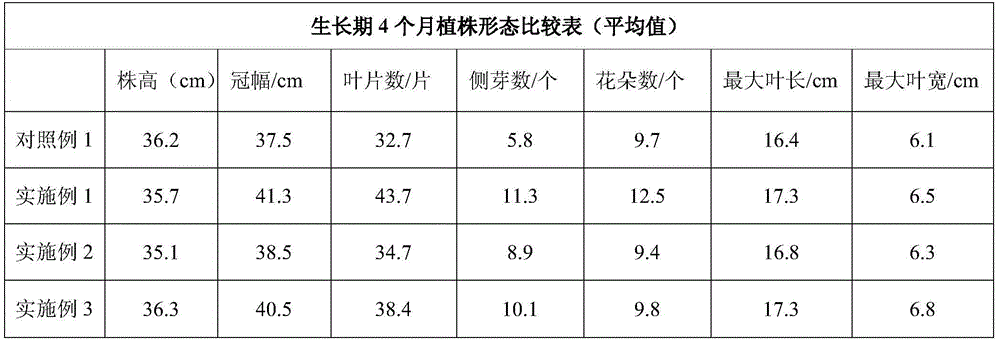 Fertilizers for sagebrush and methods of using the same