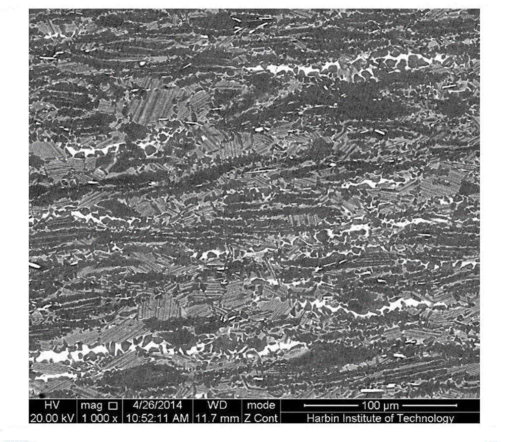 Method for preparing TiAl alloy plate without canning