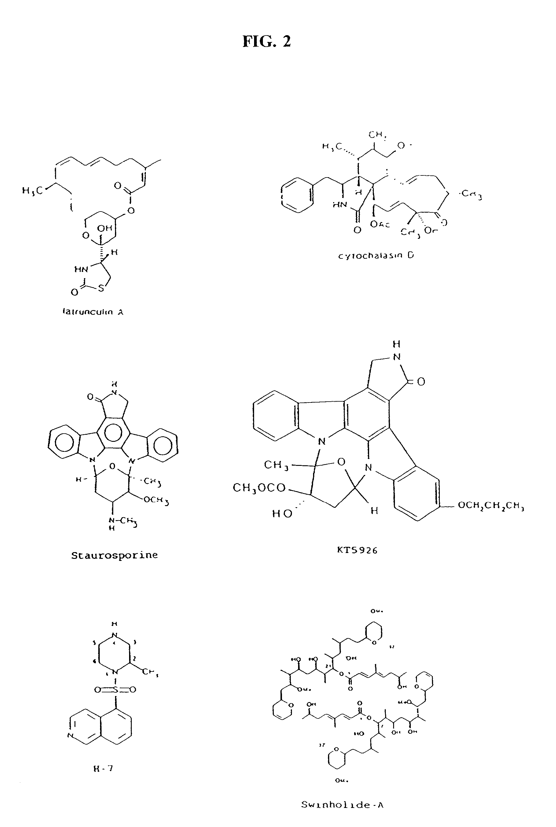 Cytoskeletal active agents for glaucoma therapy