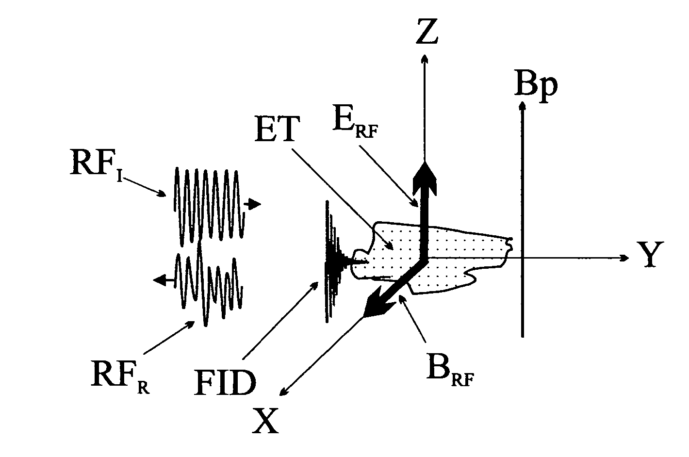 Method and apparatus for examining a substance, particularly tissue, to characterize its type