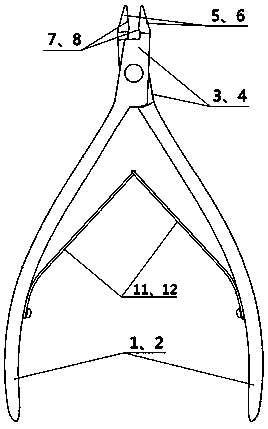 Crayfish shelling tool