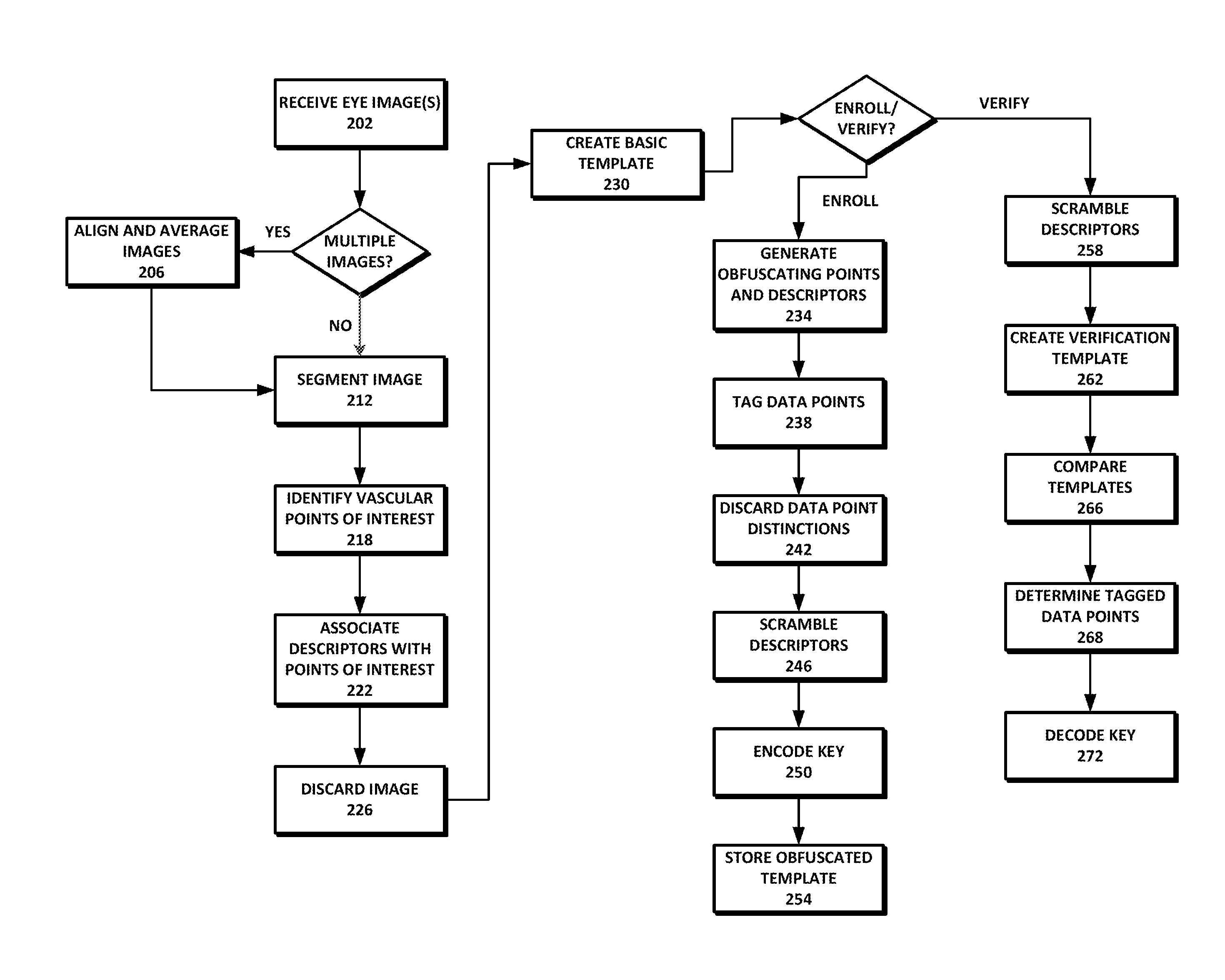 Biometric template security and key generation