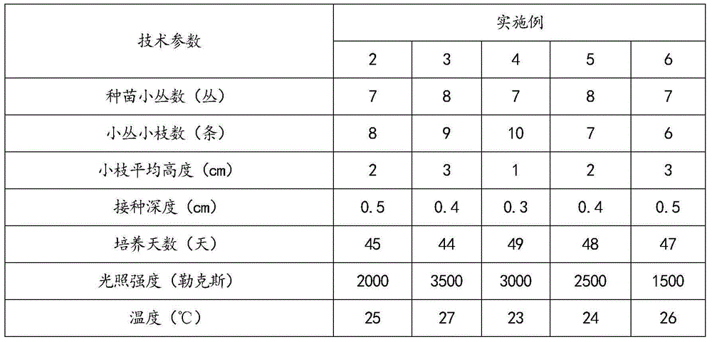 Rooting culture method for tamarix chinensis tissue culture seedlings