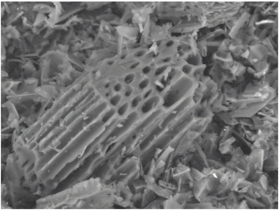 Biocharcomposite material and preparation method thereof