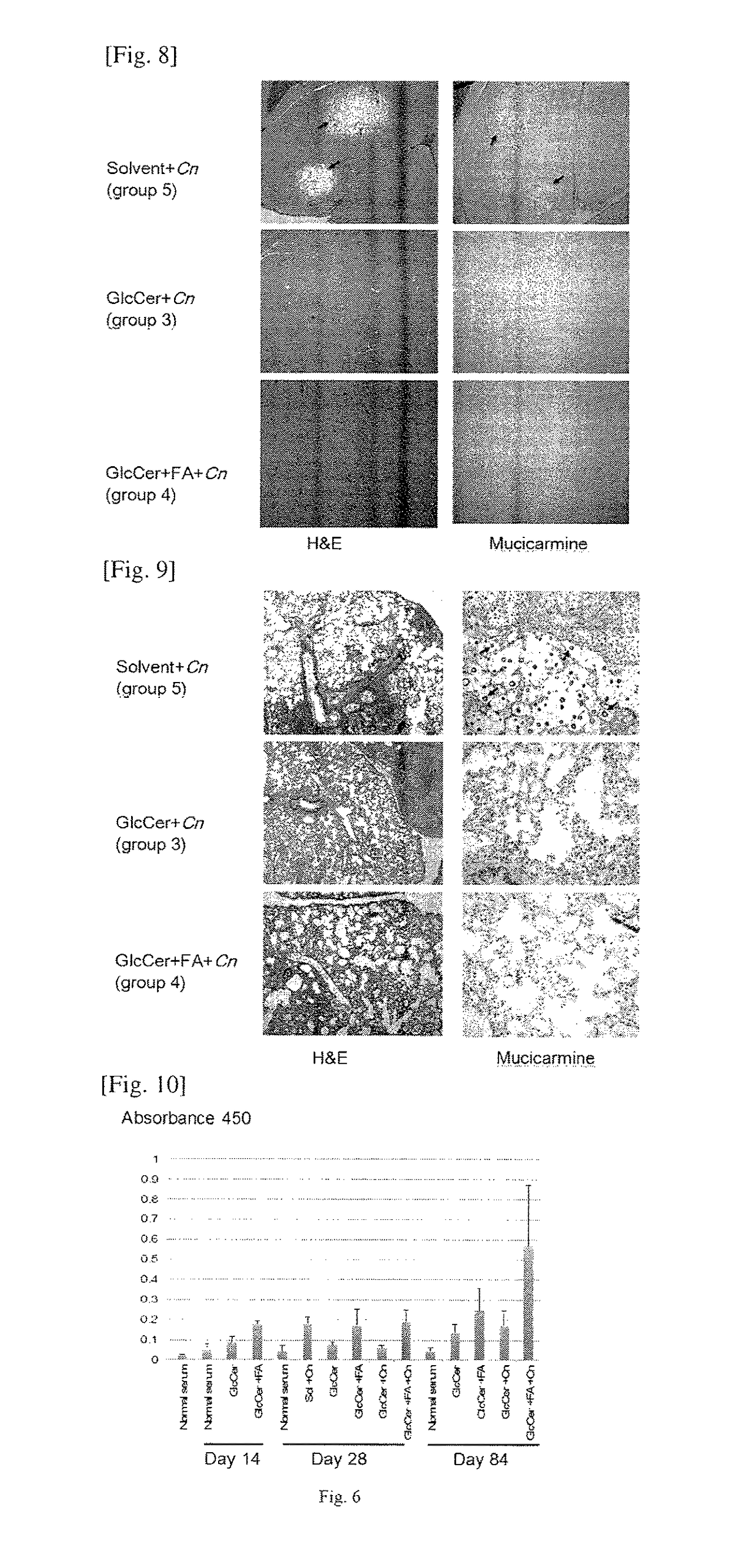 Fungal glucosylceramide as a vaccine for fungal infections