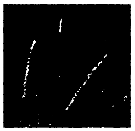 An underwater sonar image target segmentation method based on adaptive cultural algorithm