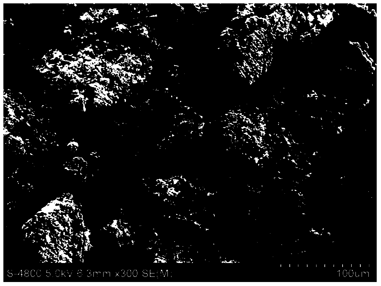 Preparation method of magnetic microbial carrier