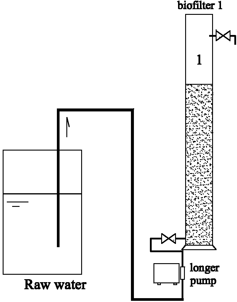 Preparation method of magnetic microbial carrier