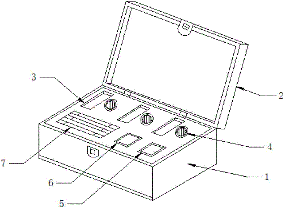 Kit having recording function and used for detecting poppy capsules