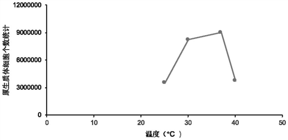 A kind of moss patens protoplast and preparation method thereof