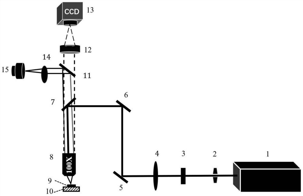 Laser processing and real-time in-situ high-resolution observation device of micro-nano structure