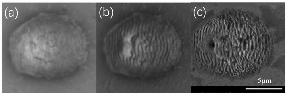 Laser processing and real-time in-situ high-resolution observation device of micro-nano structure