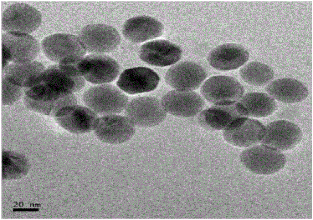 Immunochromatography test paper for quickly detecting fenitrothion based on upconversion fluorescent nanoparticles and preparation method thereof