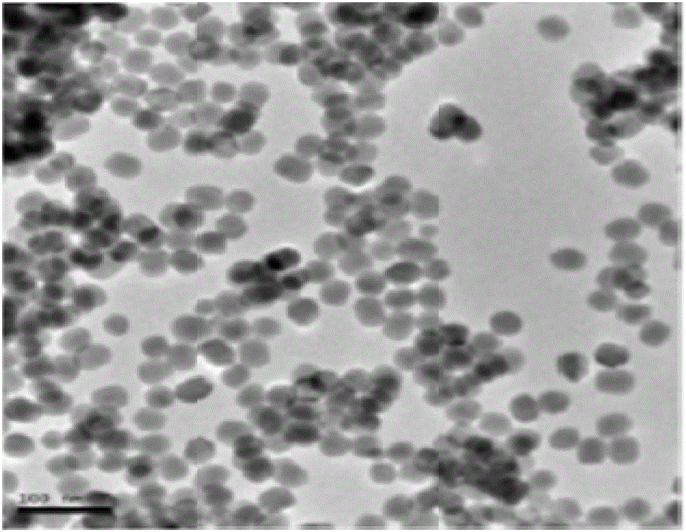 Immunochromatography test paper for quickly detecting fenitrothion based on upconversion fluorescent nanoparticles and preparation method thereof