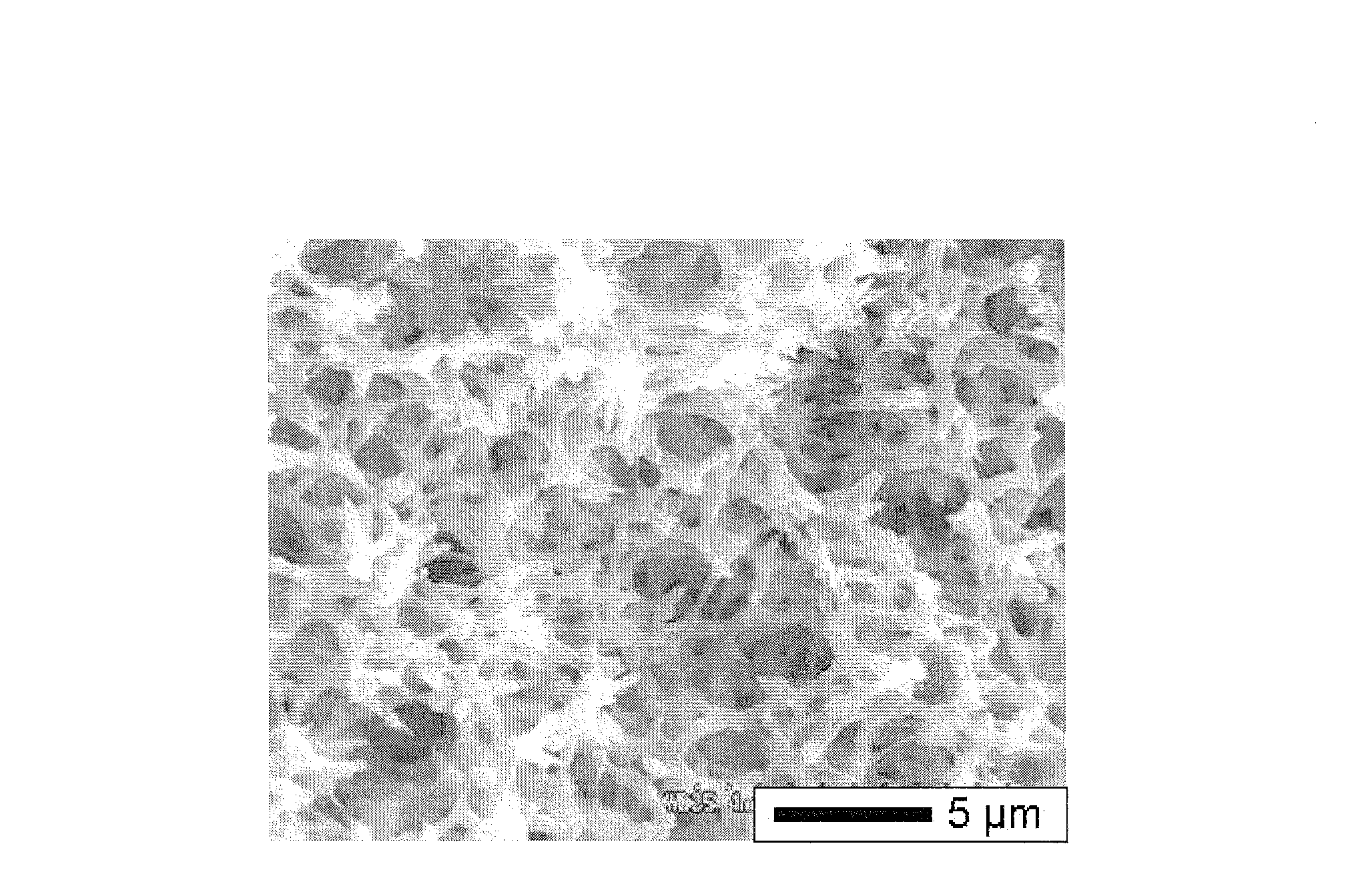 Amidoxime-modified polyacrylonitrile porous body