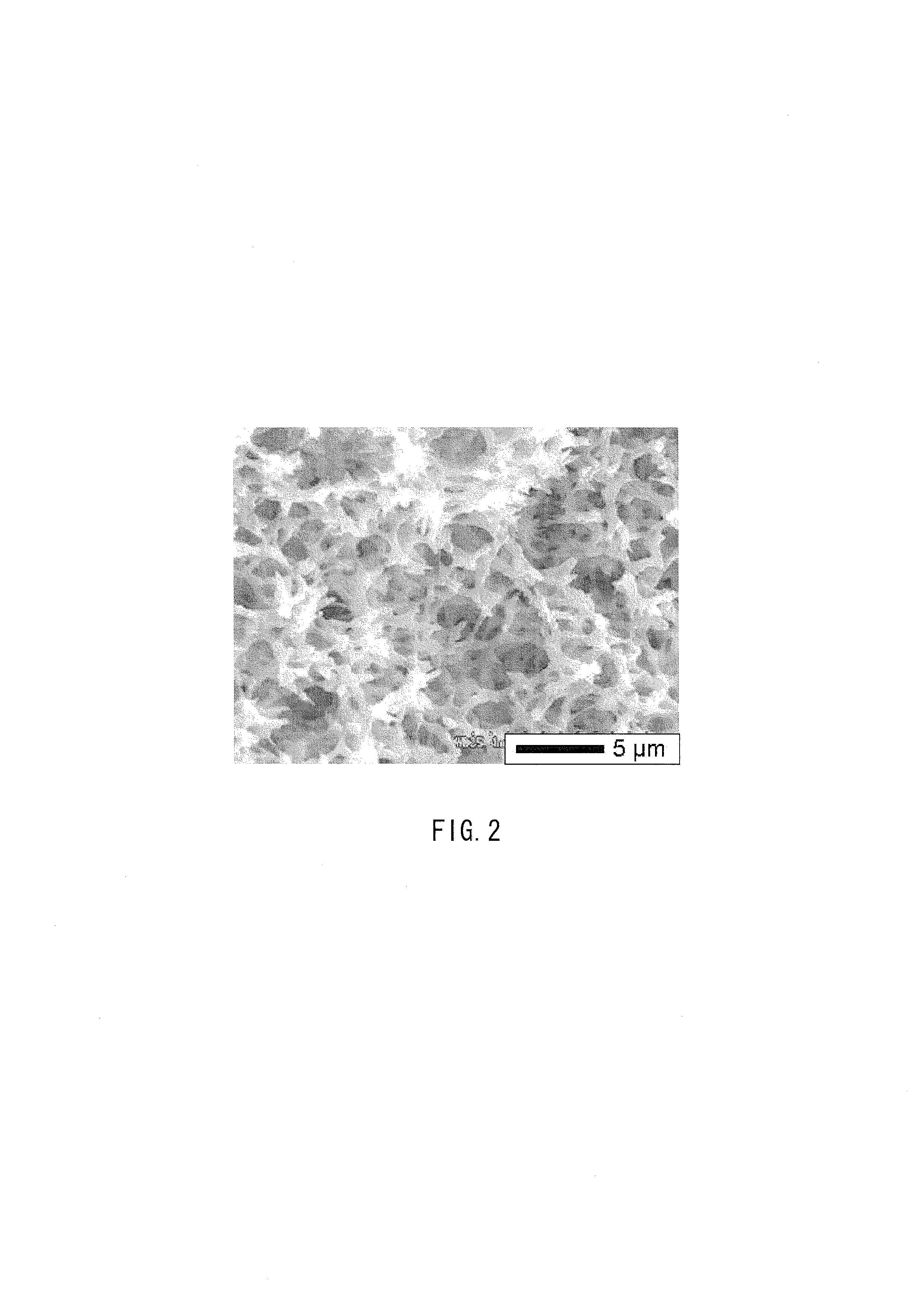 Amidoxime-modified polyacrylonitrile porous body