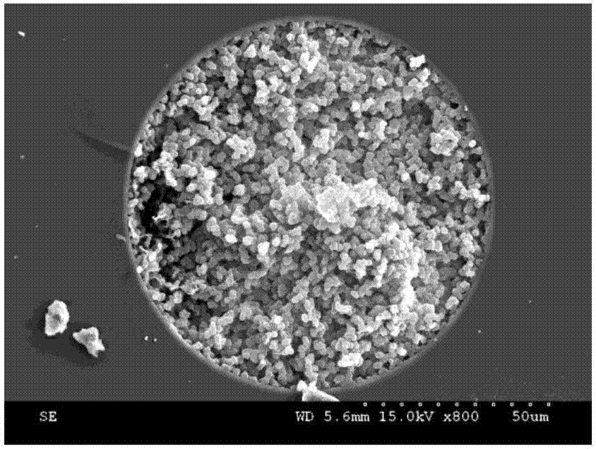 Preparation and high performance liquid chromatography combination method of difunctional monolithic column for nitrated polycyclic aromatic hydrocarbons