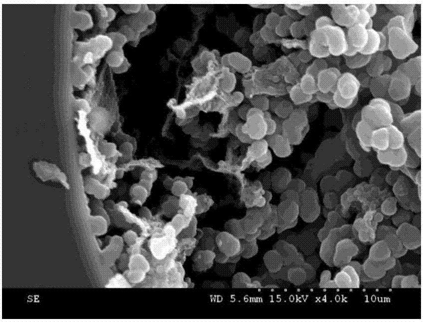 Preparation and high performance liquid chromatography combination method of difunctional monolithic column for nitrated polycyclic aromatic hydrocarbons