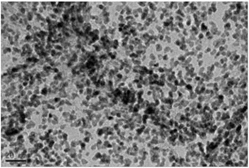 Preparation and high performance liquid chromatography combination method of difunctional monolithic column for nitrated polycyclic aromatic hydrocarbons