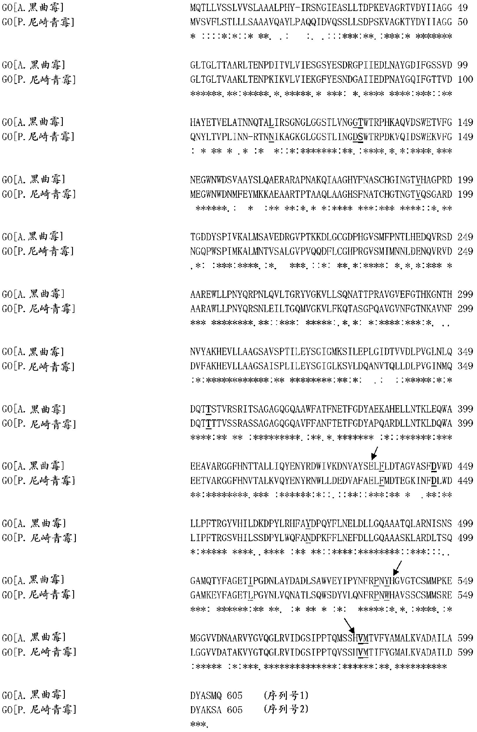 Mutant enzyme and application thereof