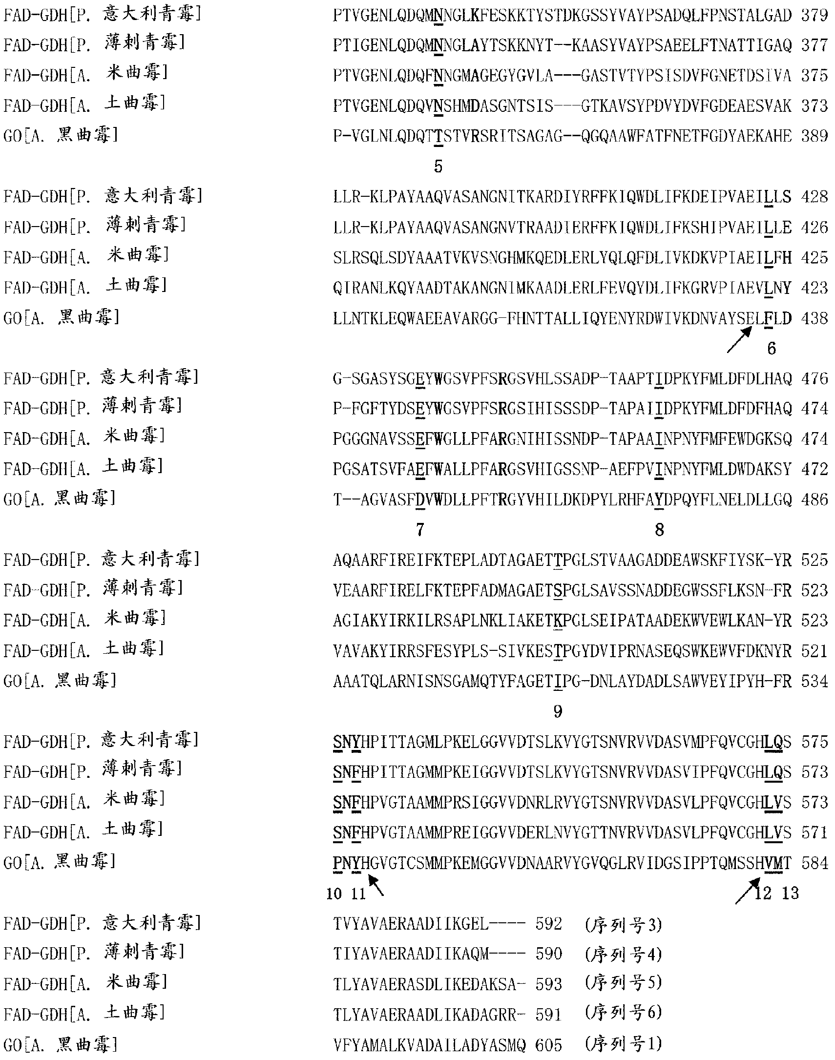 Mutant enzyme and application thereof