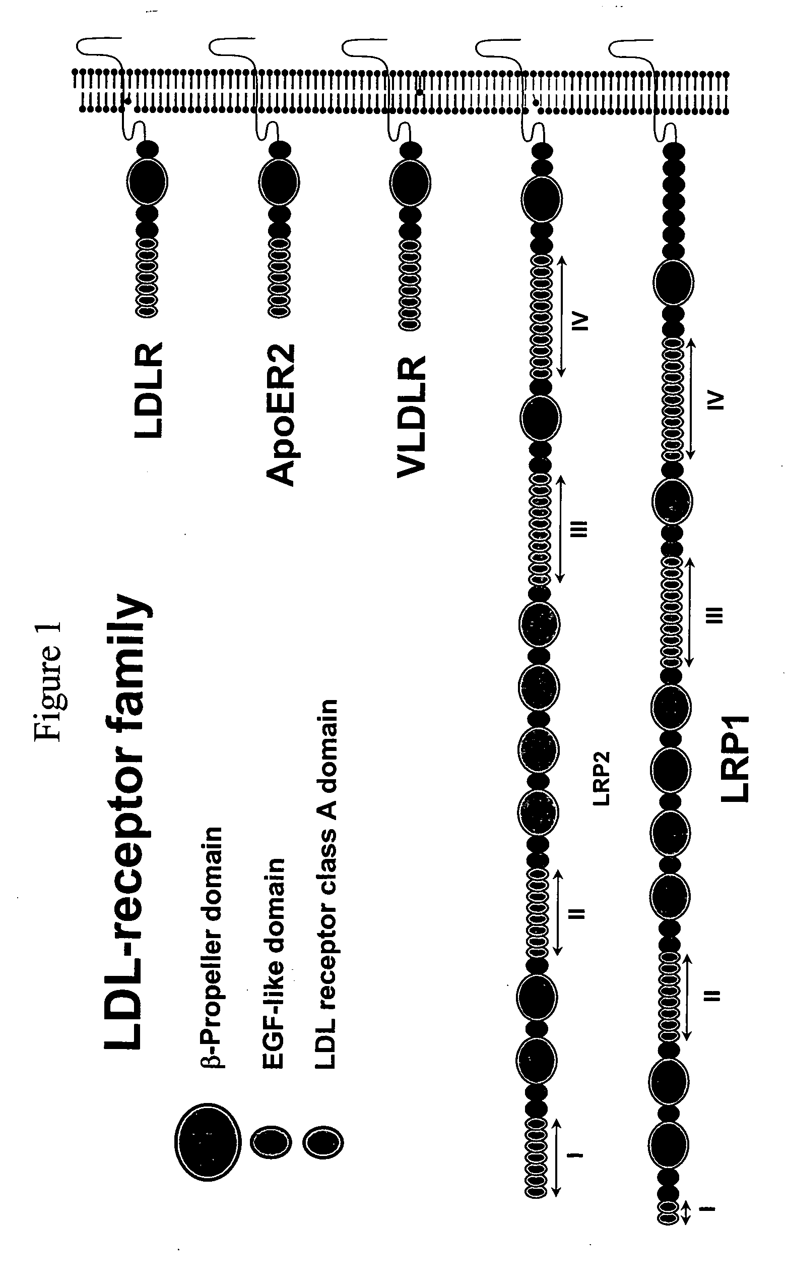 Combinatorial libraries of monomer domains