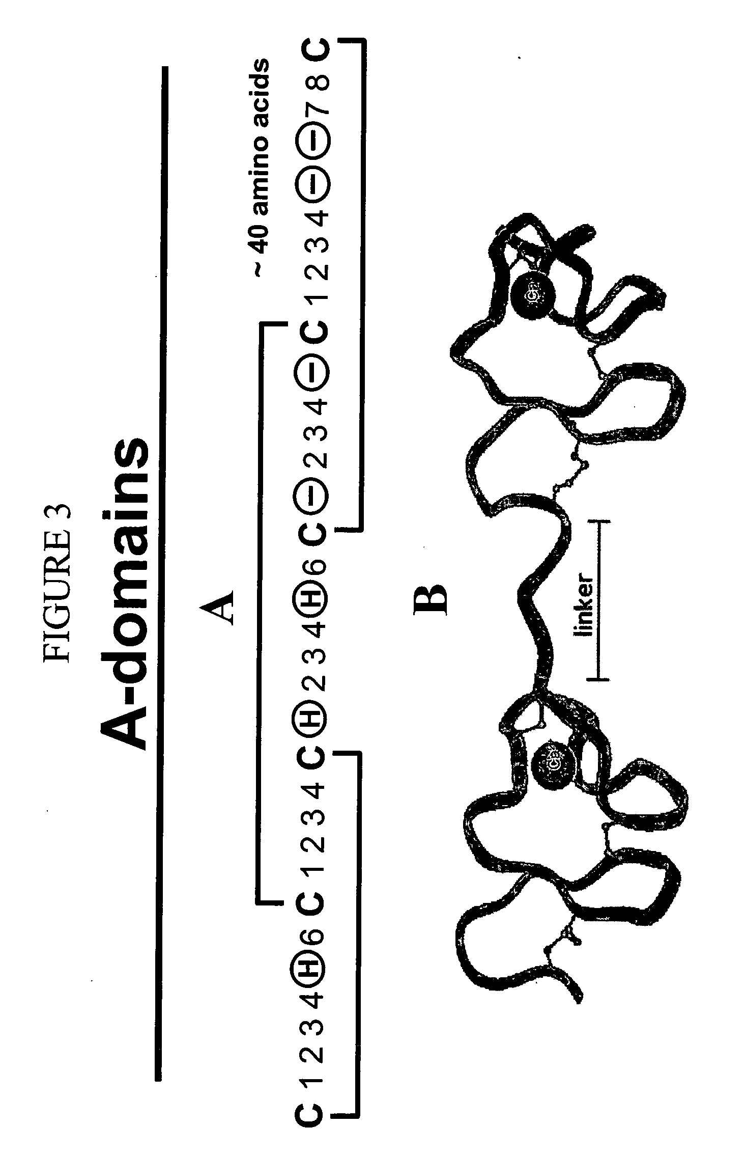 Combinatorial libraries of monomer domains