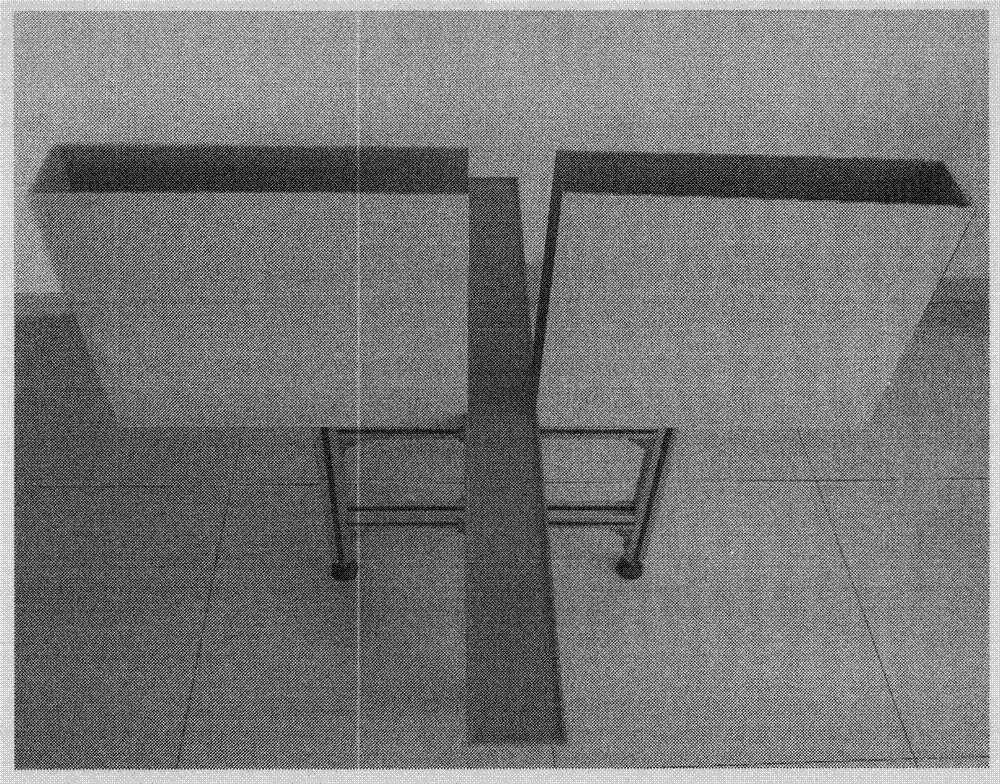 Elevated platform for detecting animal anxiety and application method thereof