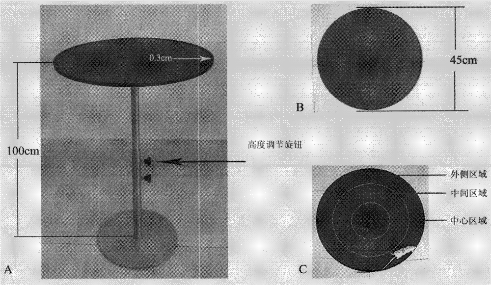 Elevated platform for detecting animal anxiety and application method thereof