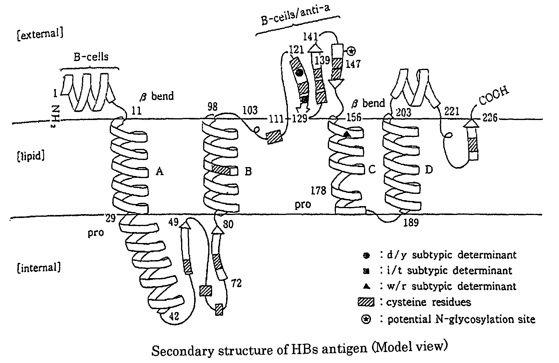 Method of detecting hepatitis B virus s antigen