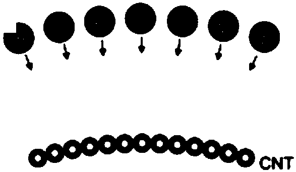 High-performance carbon nanotube/metal composite conductive fiber and preparation method thereof