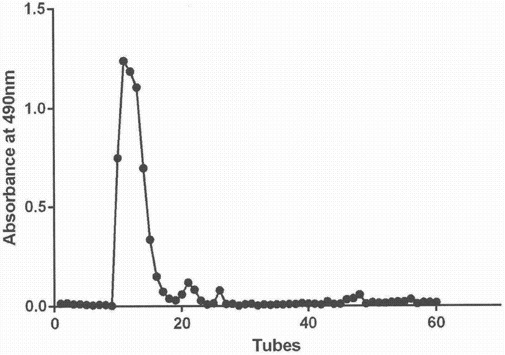 Urchin yellow polysaccharide with liver protecting function and application thereof