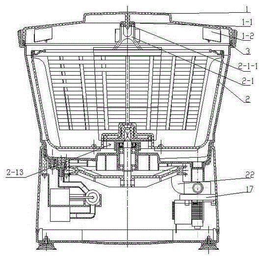 Fruit and vegetable washing machine