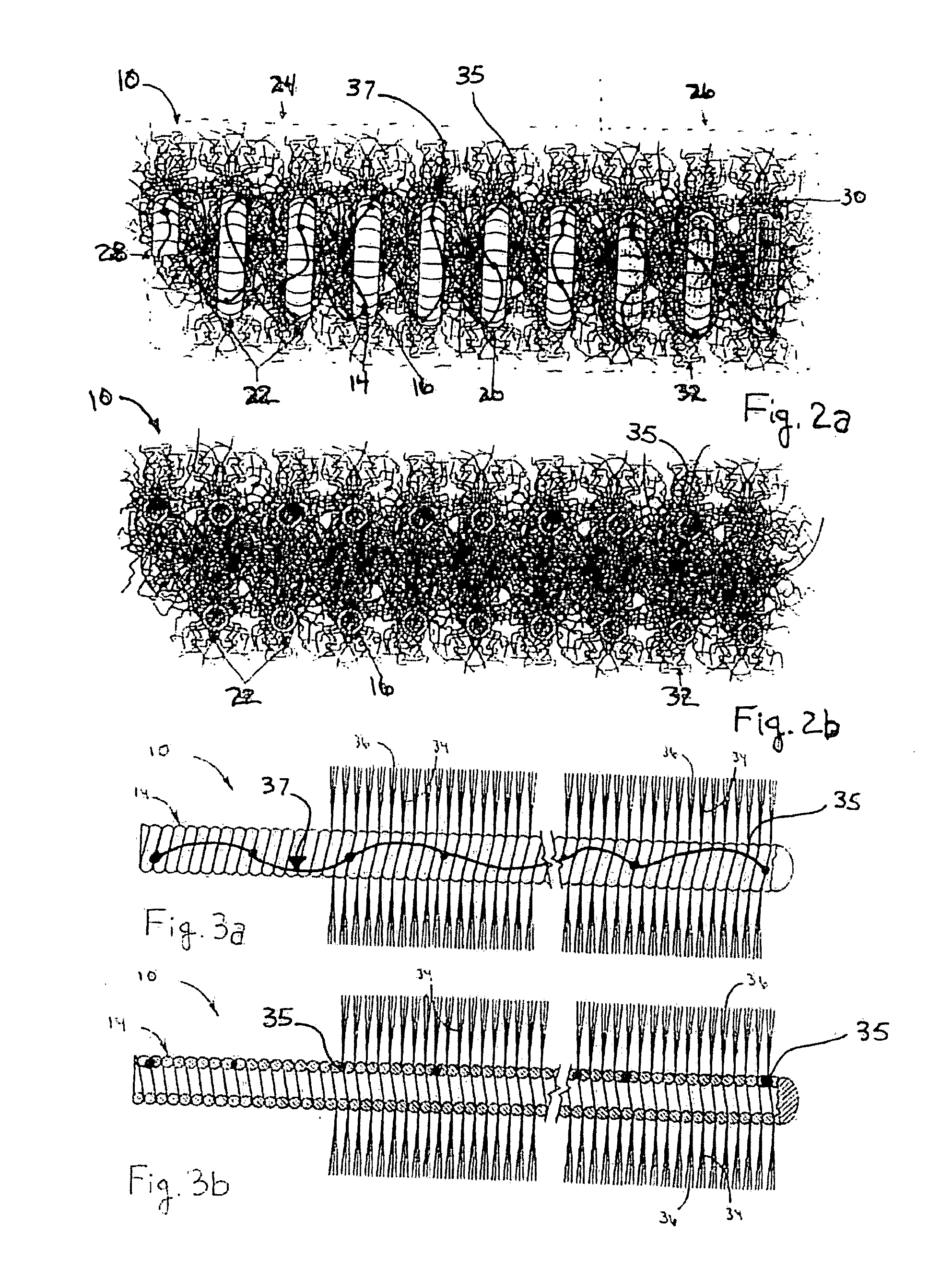 Spiral occluding device with an occlusion sail