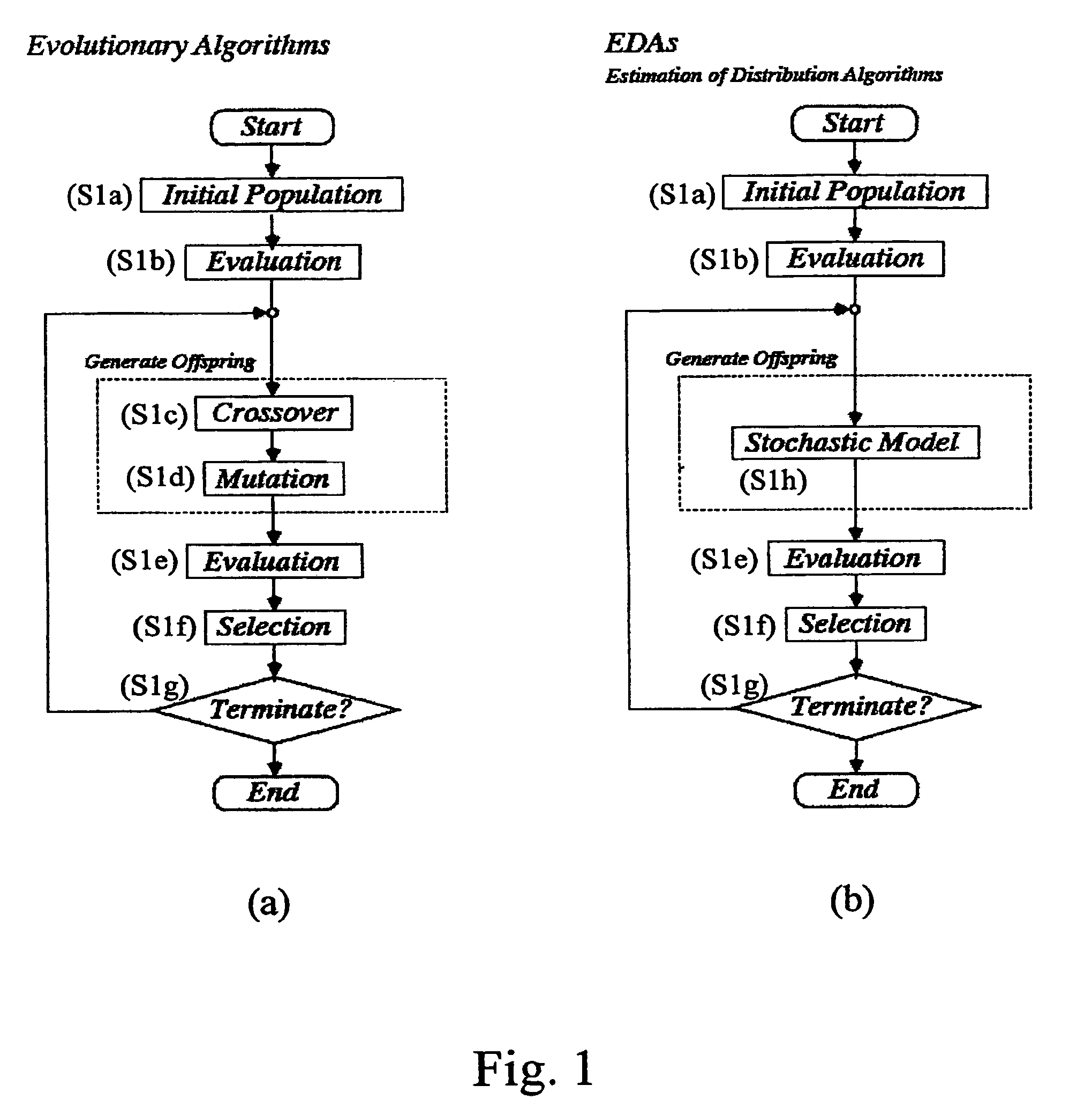 System and method for estimation of a distribution algorithm