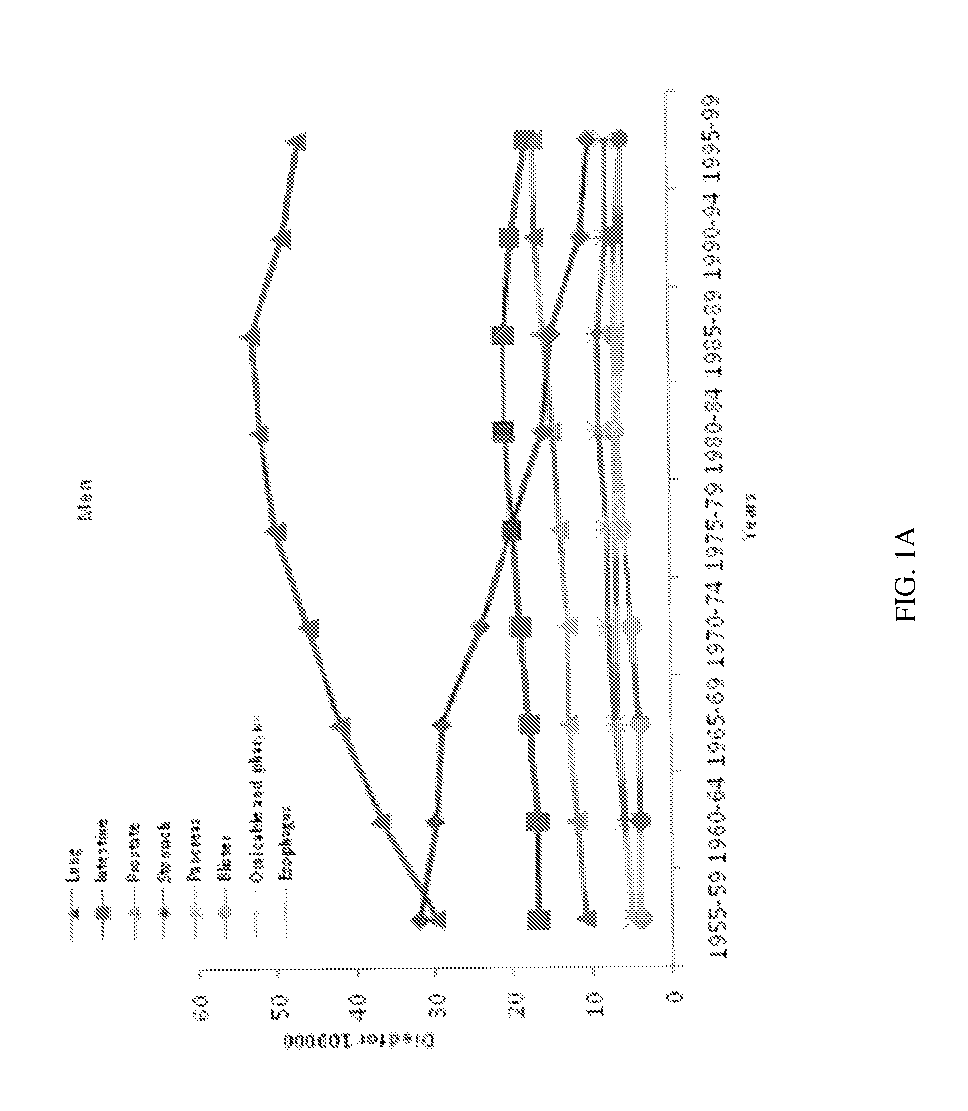 Method for processing biomedical images