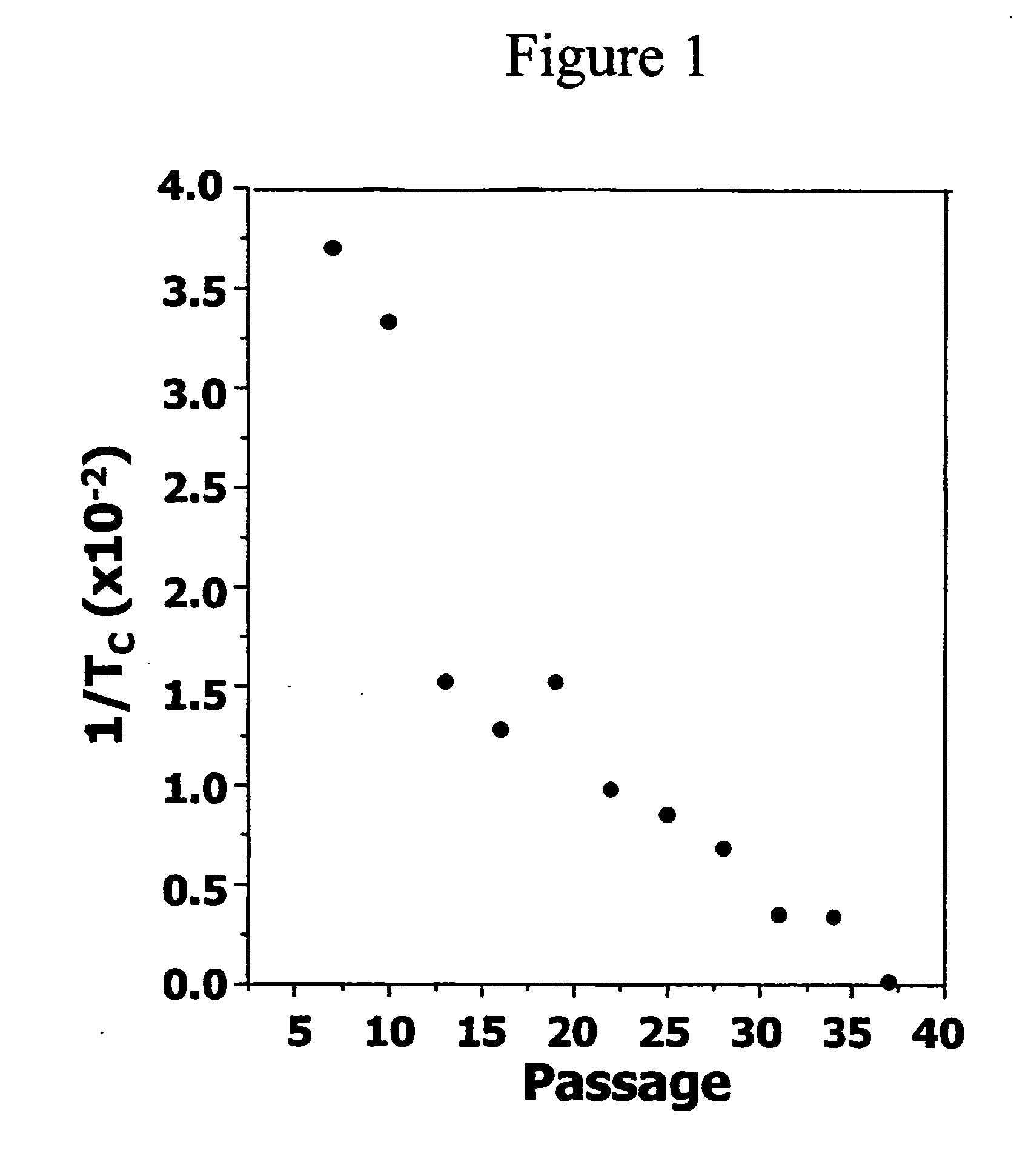 Preadipocyte cell strains and uses therefore