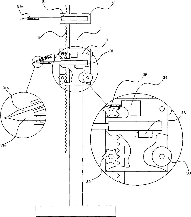 Tuna phlebotomy machine before slaughter