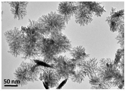 A kind of preparation method of multi-branched nano-triangular Pt catalyst functionalized with polyethyleneimine