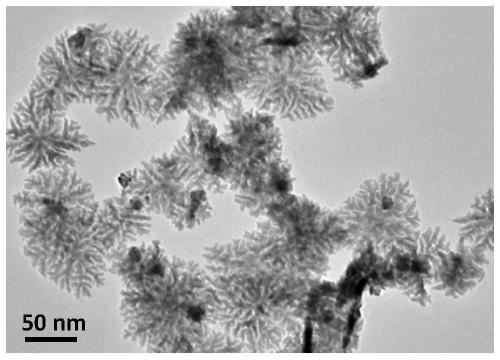 A kind of preparation method of multi-branched nano-triangular Pt catalyst functionalized with polyethyleneimine