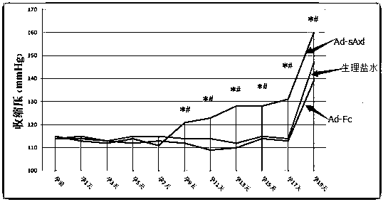 The application of ad-saxl in the establishment of preeclampsia rat model and the establishment method of preeclampsia rat model