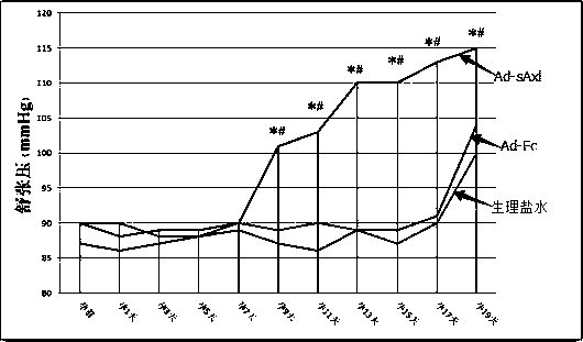 The application of ad-saxl in the establishment of preeclampsia rat model and the establishment method of preeclampsia rat model